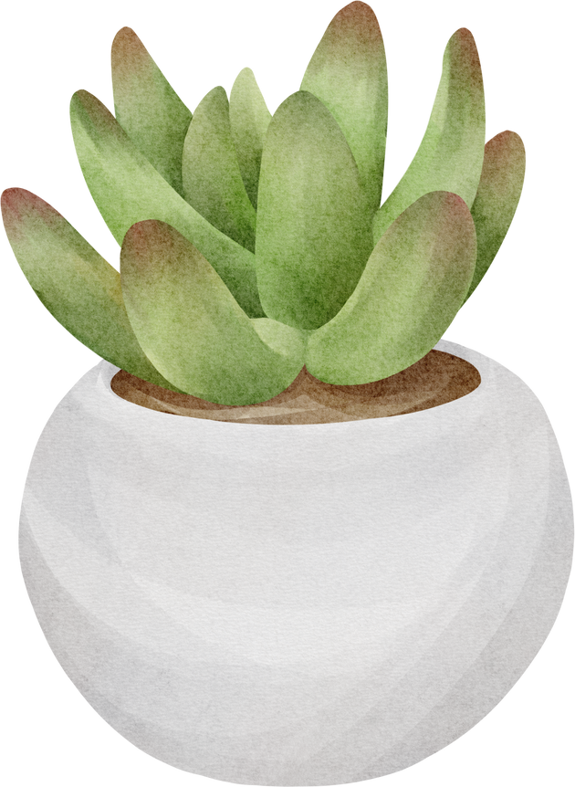 watercolor succulent